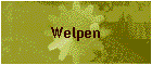 Welpen