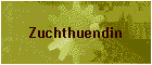 Zuchthuendin